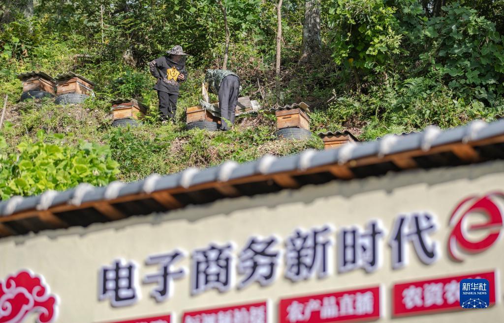 澳门新匍京体验玩游戏